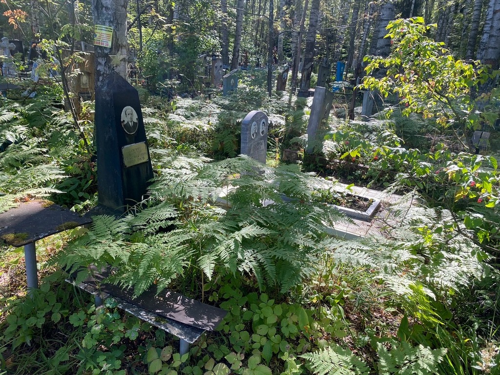 Панин Сергей Александрович