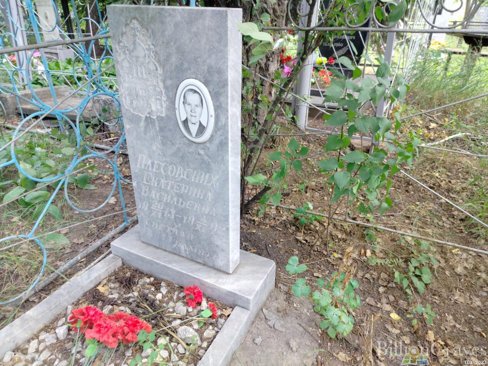 Плесовских Екатерина Васильевна