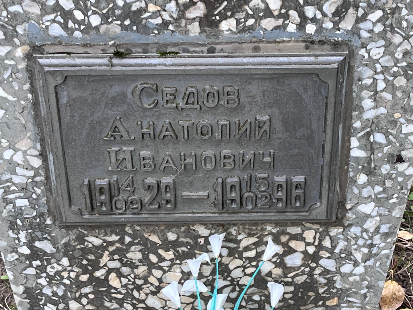 Седов
