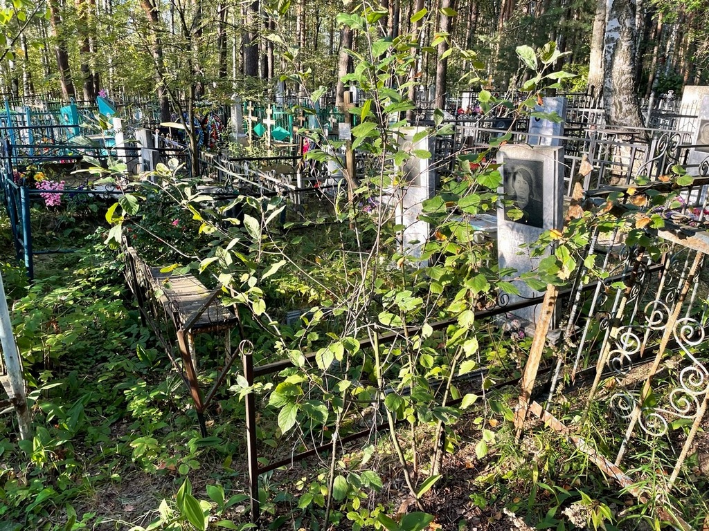 Елисейкина Надежда Петровна