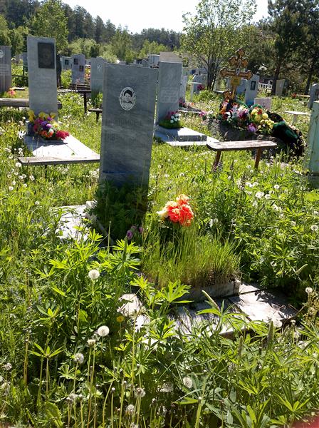Коломоец Вера Ивановна