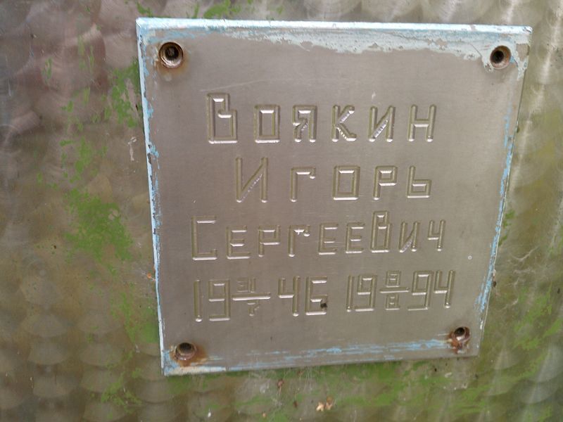 Воякин