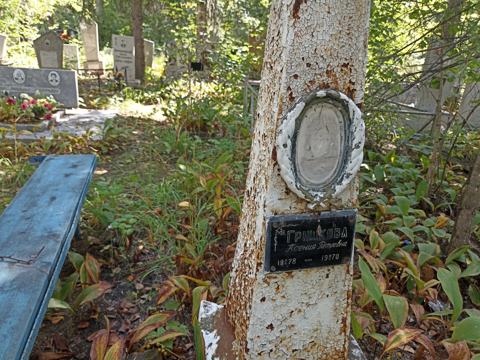 Гришкова Ксения Петровна