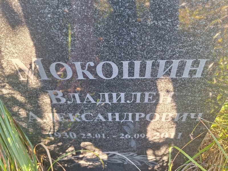 Владилен Мокошин Александрович