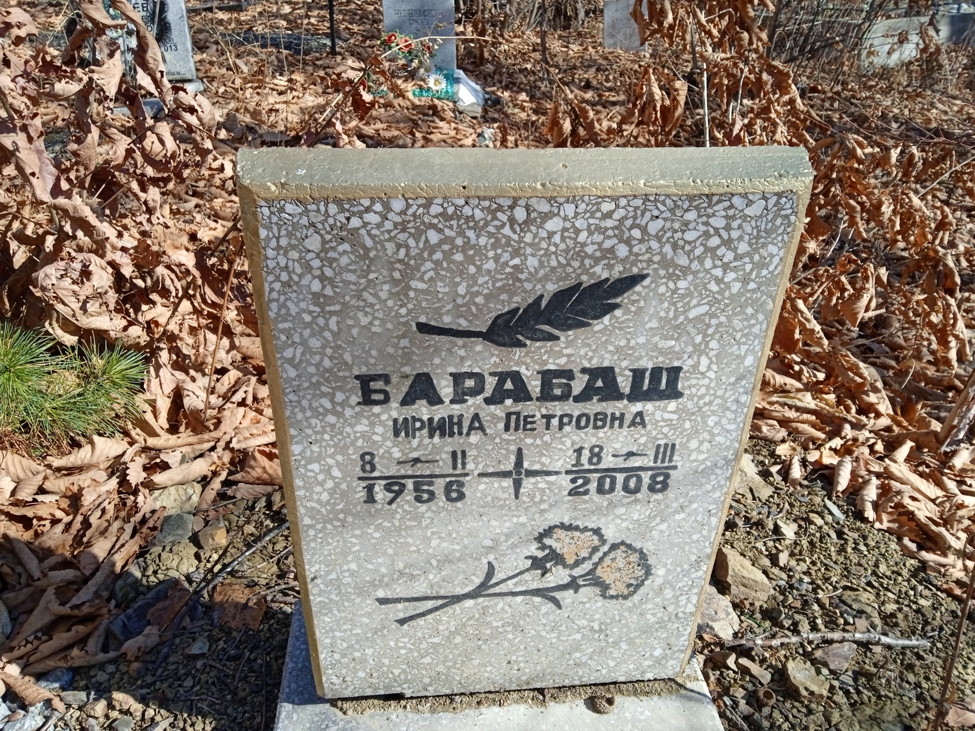 Барабаш Ирина Петровна