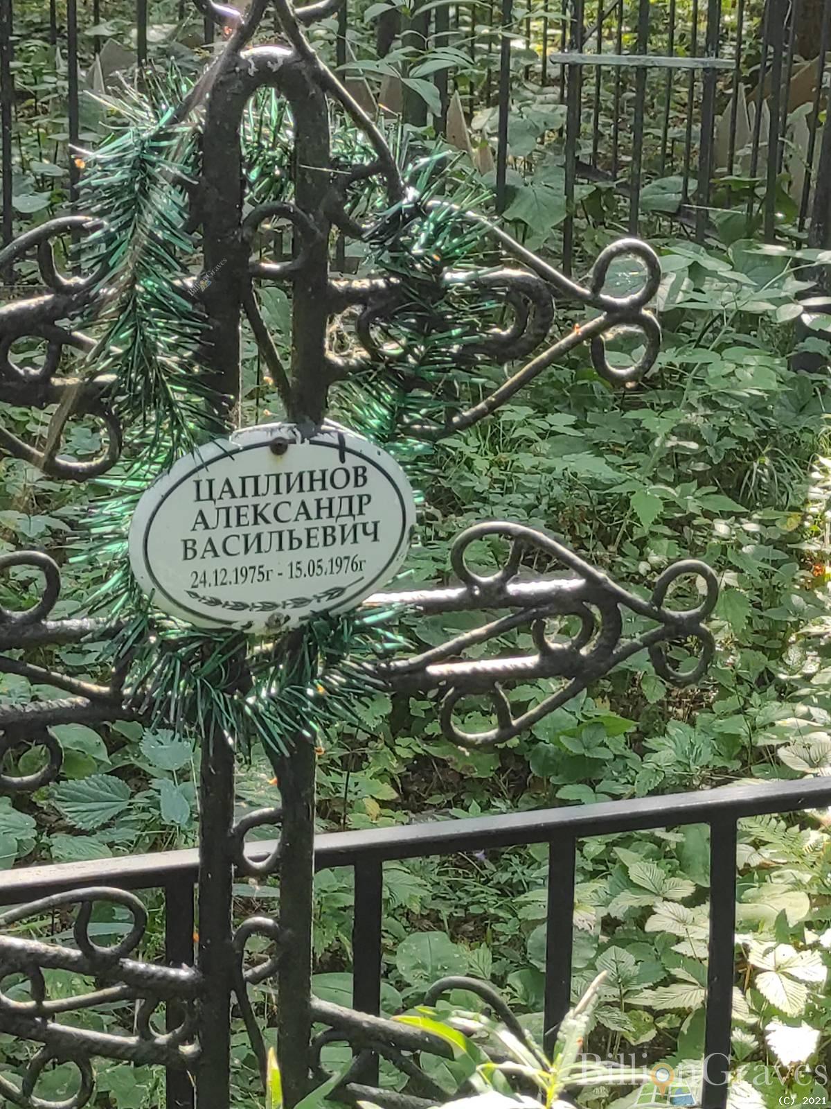 Цаплинов Александр Васильевич