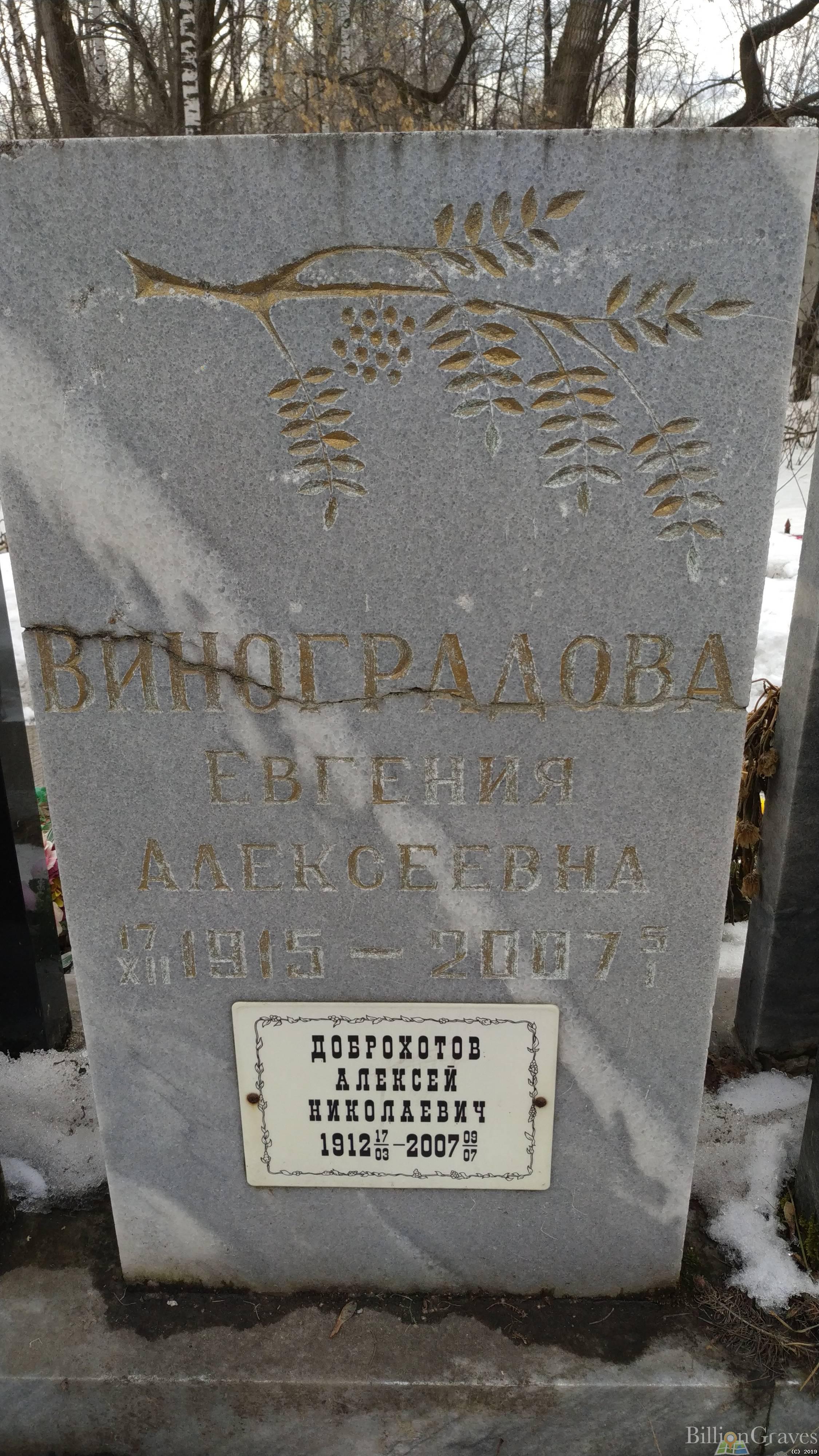Доброхотов Алексей Николаевич