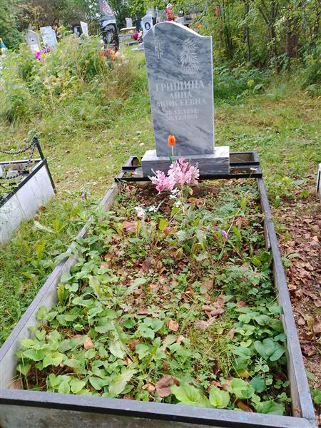 Гришина Анна Моисеевна