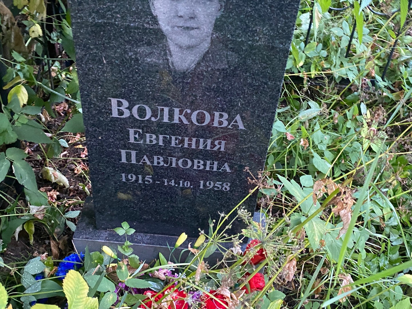 Волкова Евгения Павловна