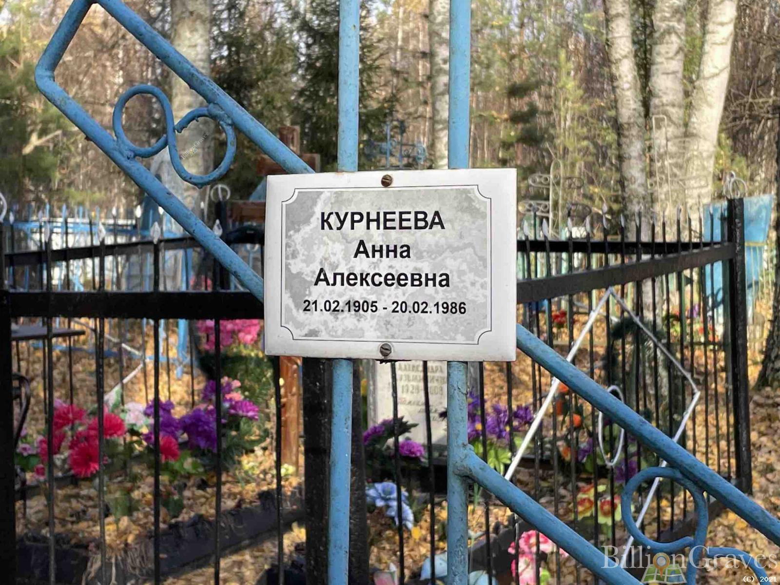 Курнеева Анна Алексеевна
