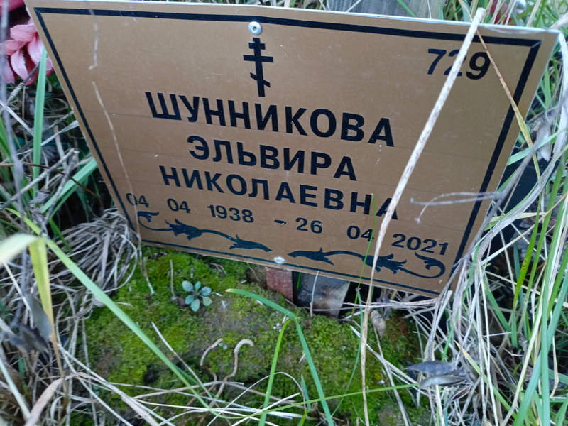 Эльвира Шунникова Николаевна