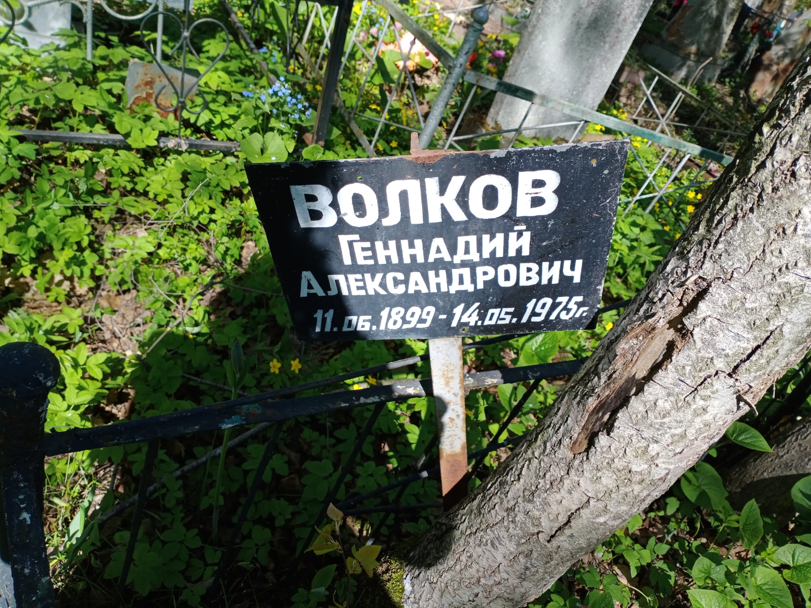 Волков Геннадий Александрович