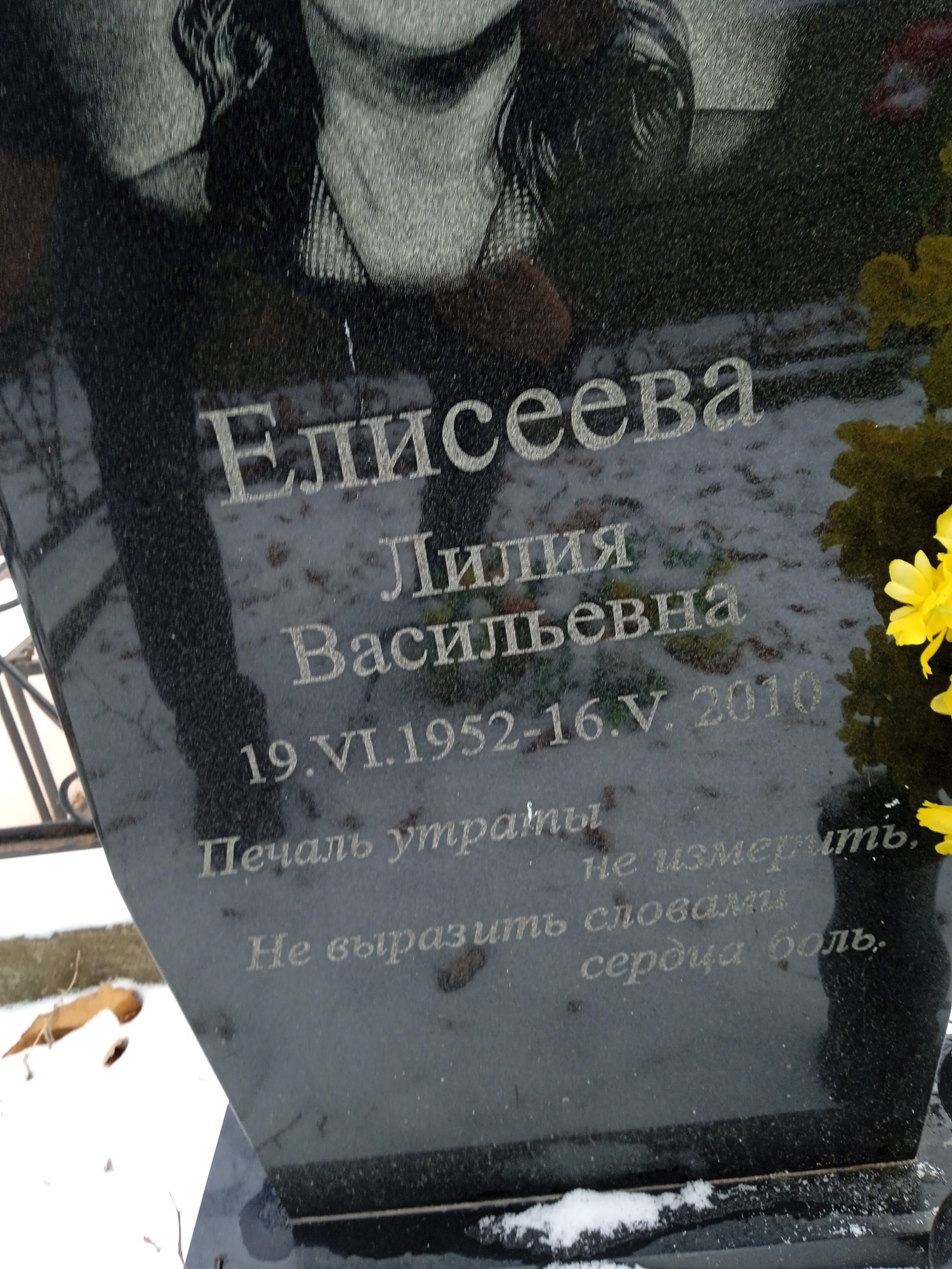 Елисеева Лилия Васильевна