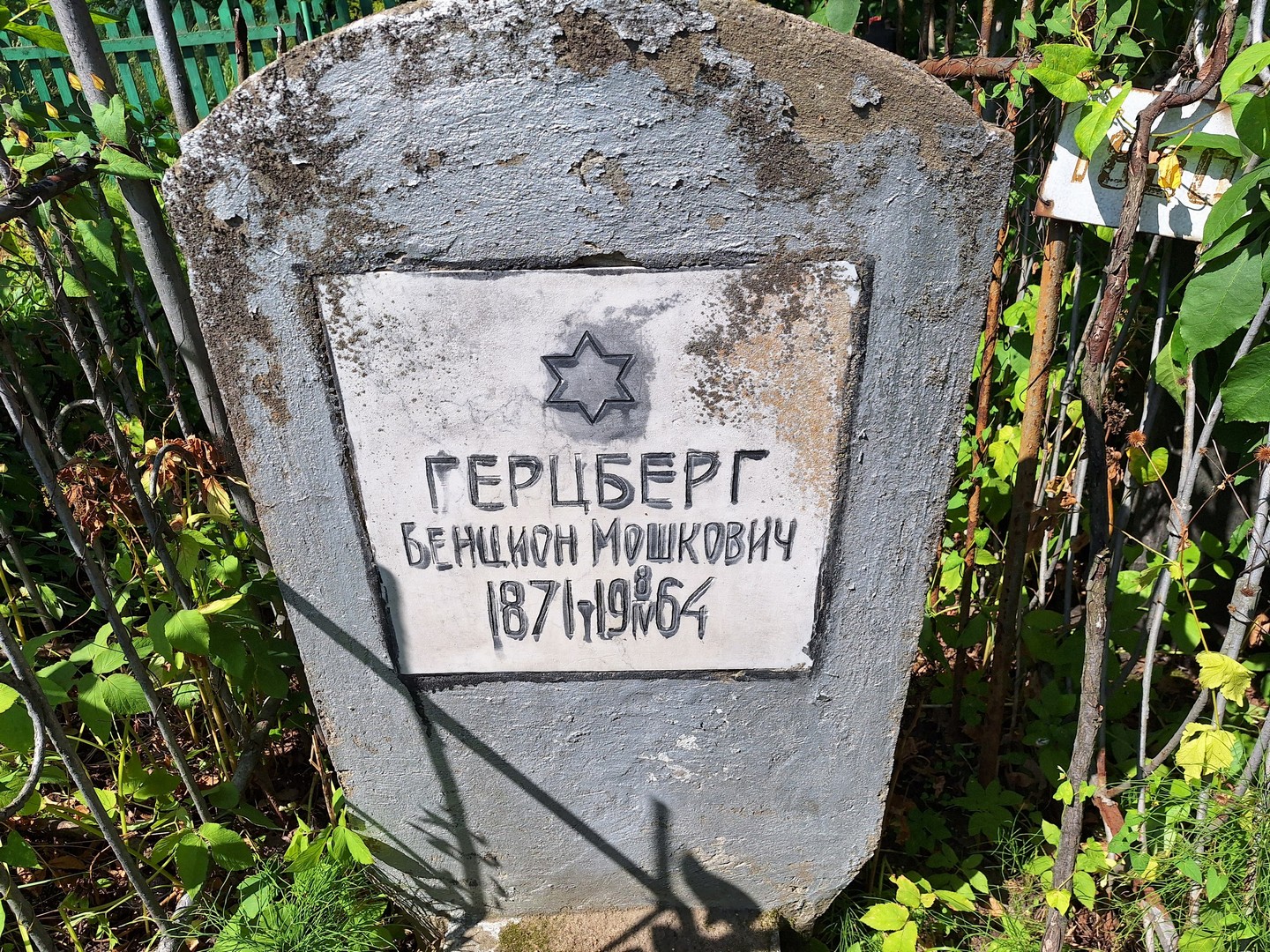Бенцион Герцберг Мошкович