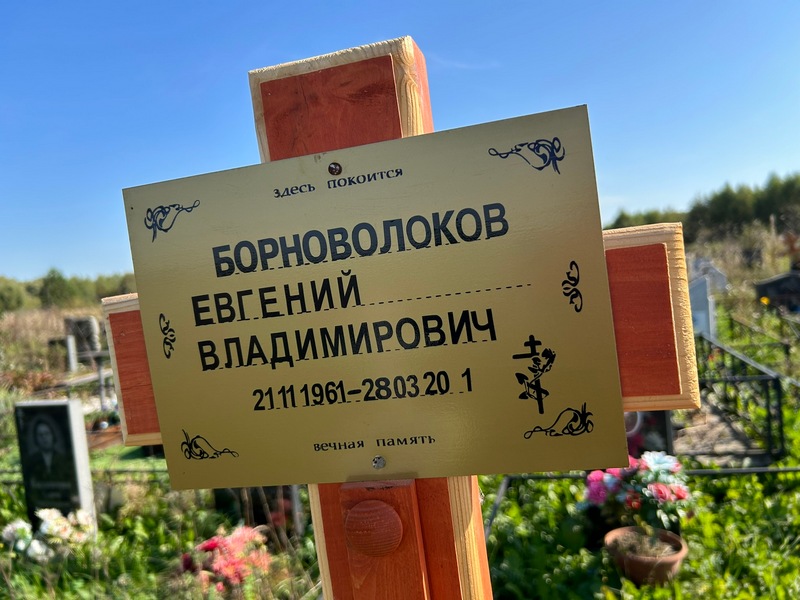 Борноволоков
