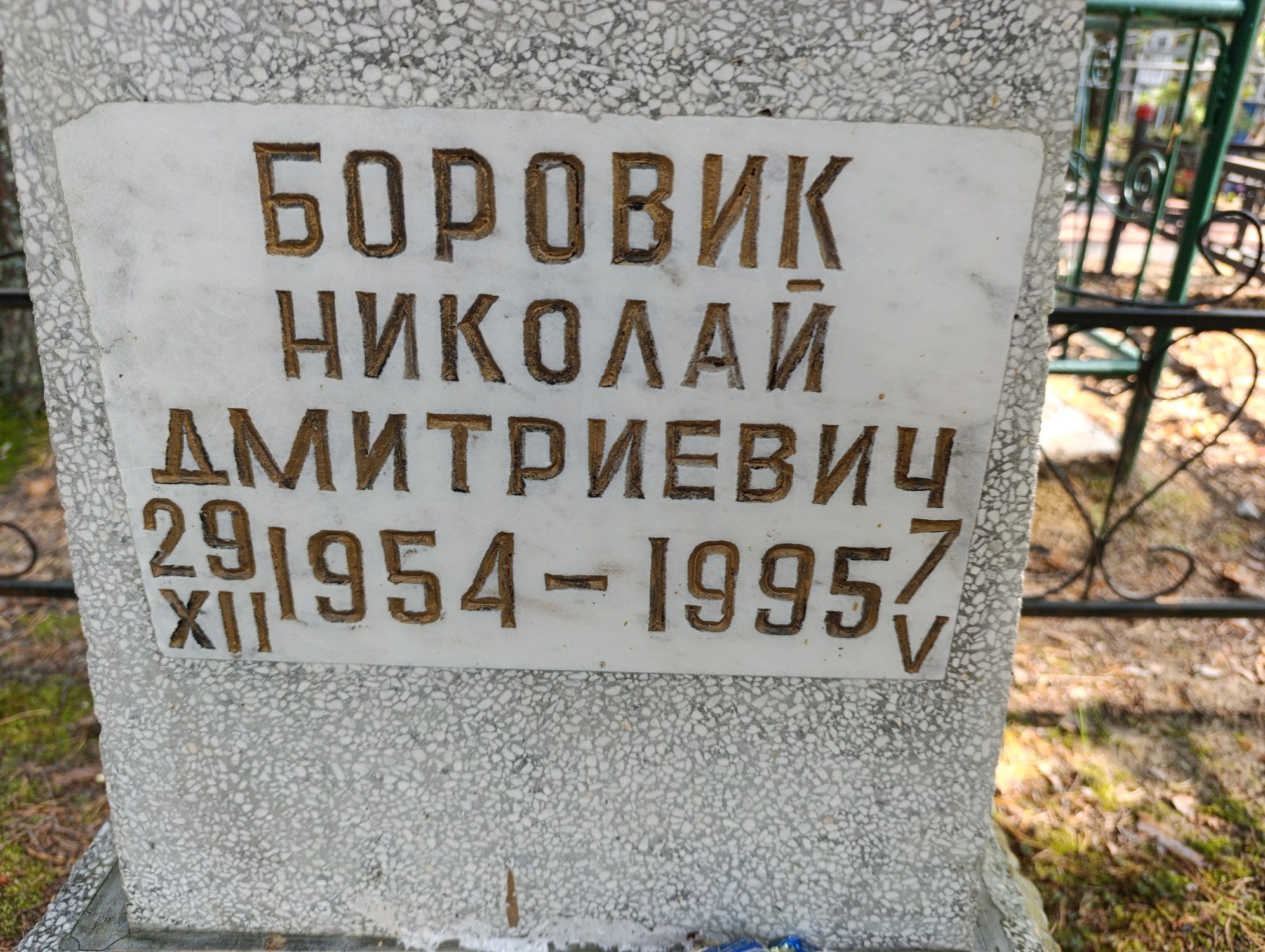Боровик Николай Дмитриевич