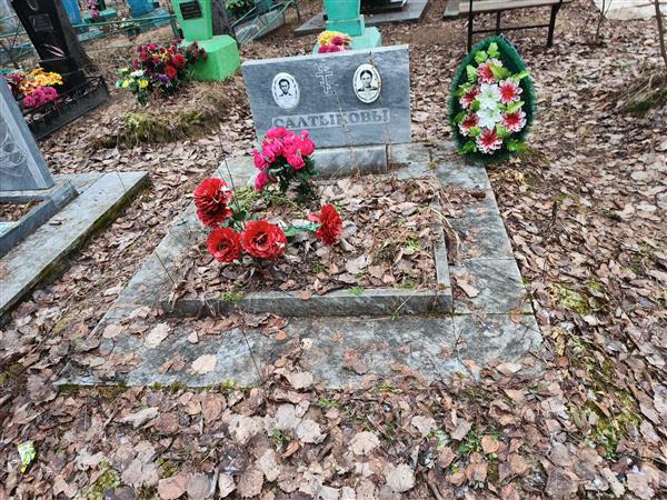 Салтыков Макар Гаврилович