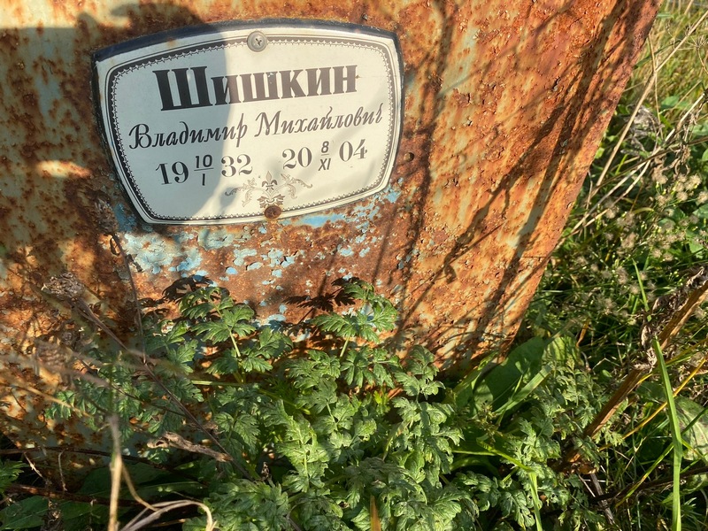 Шишкин