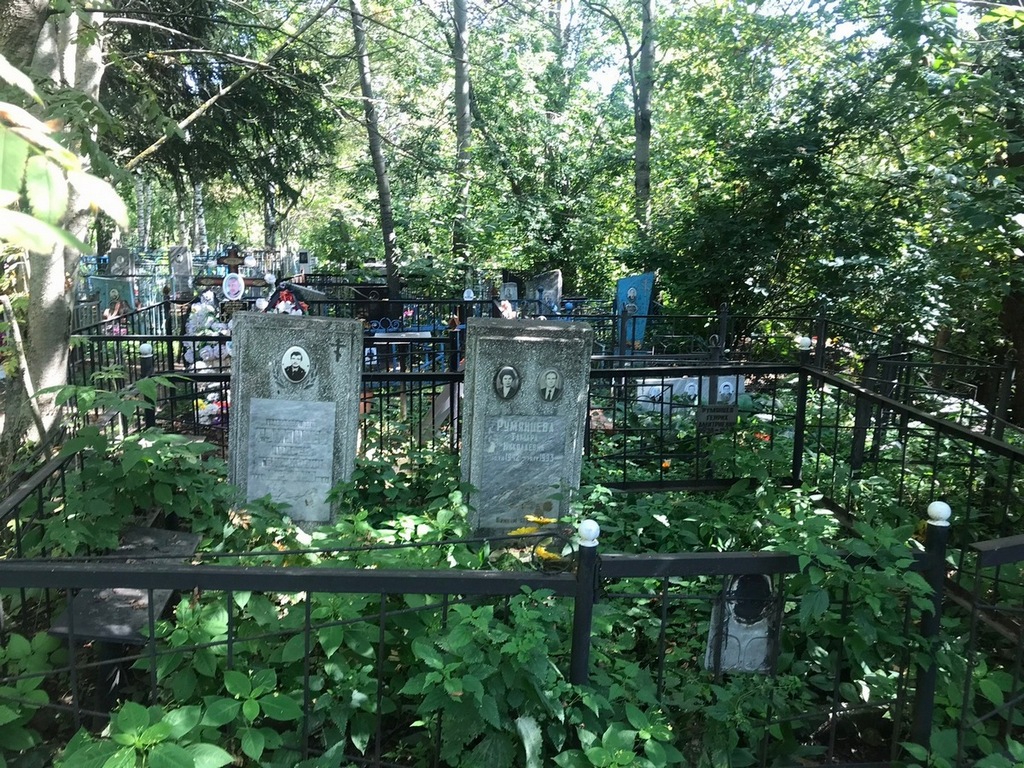 Румянцев Генрих Дмитриевич