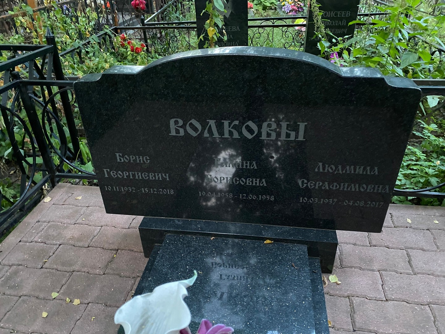 Волков