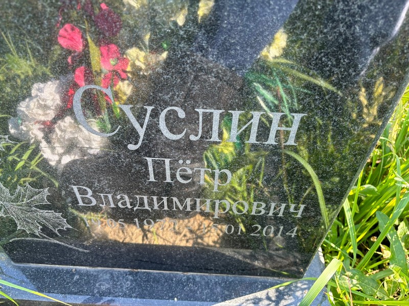 Суслин