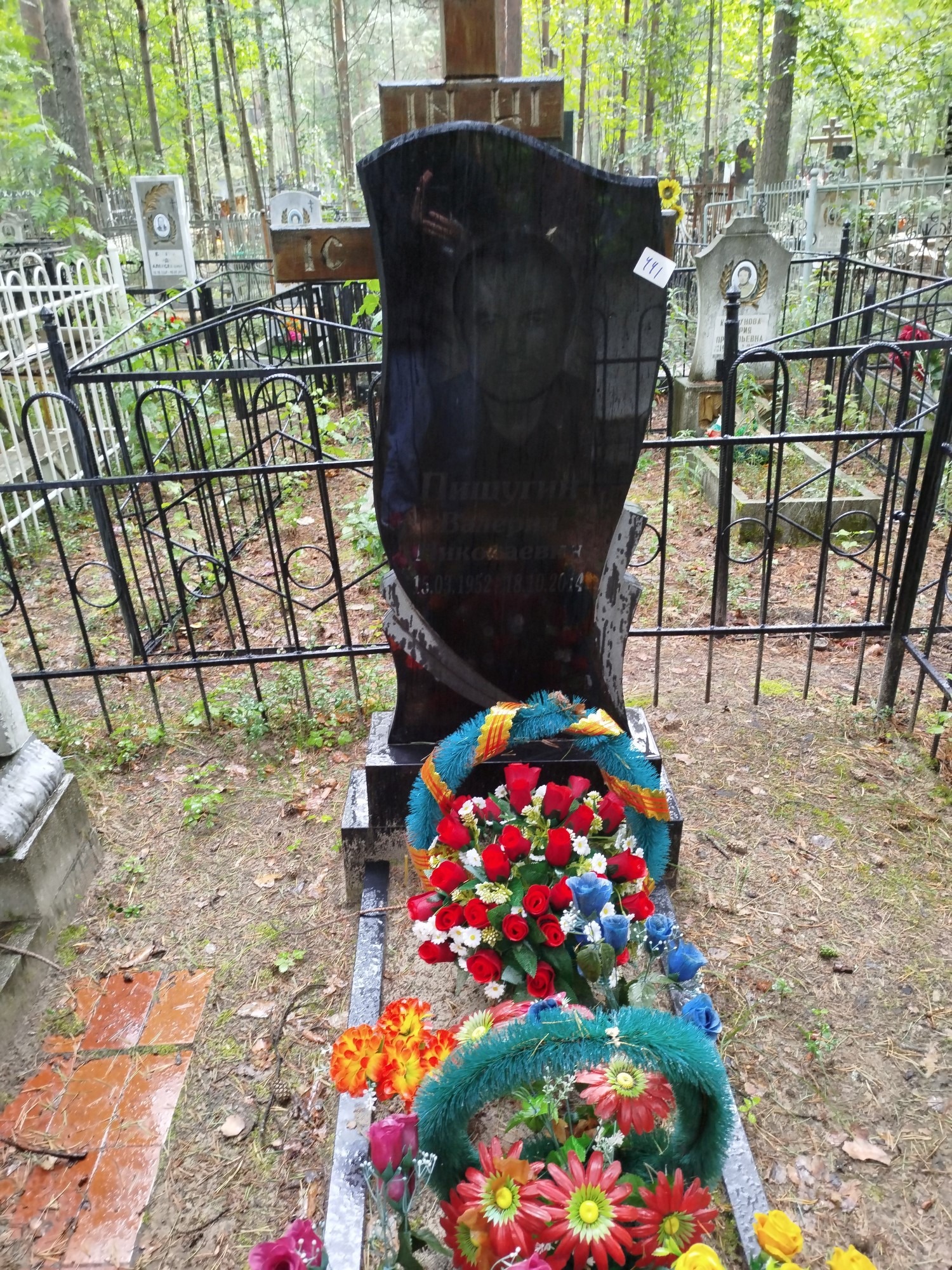 Пишугин Валерий Николаевич