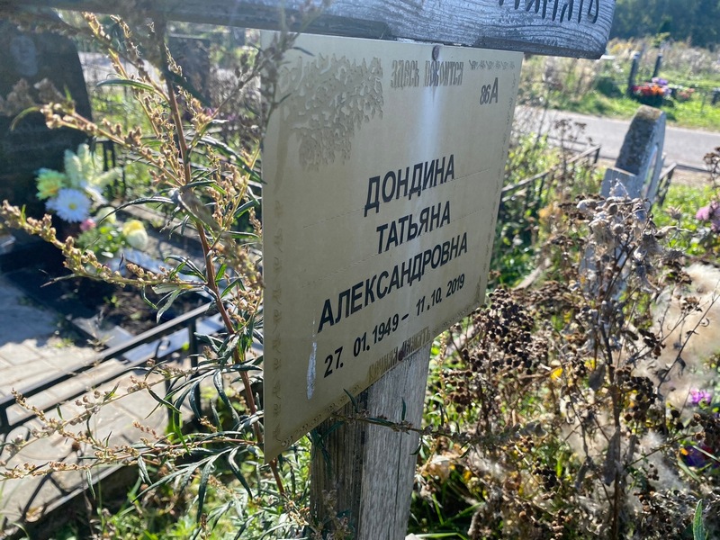 Дондина