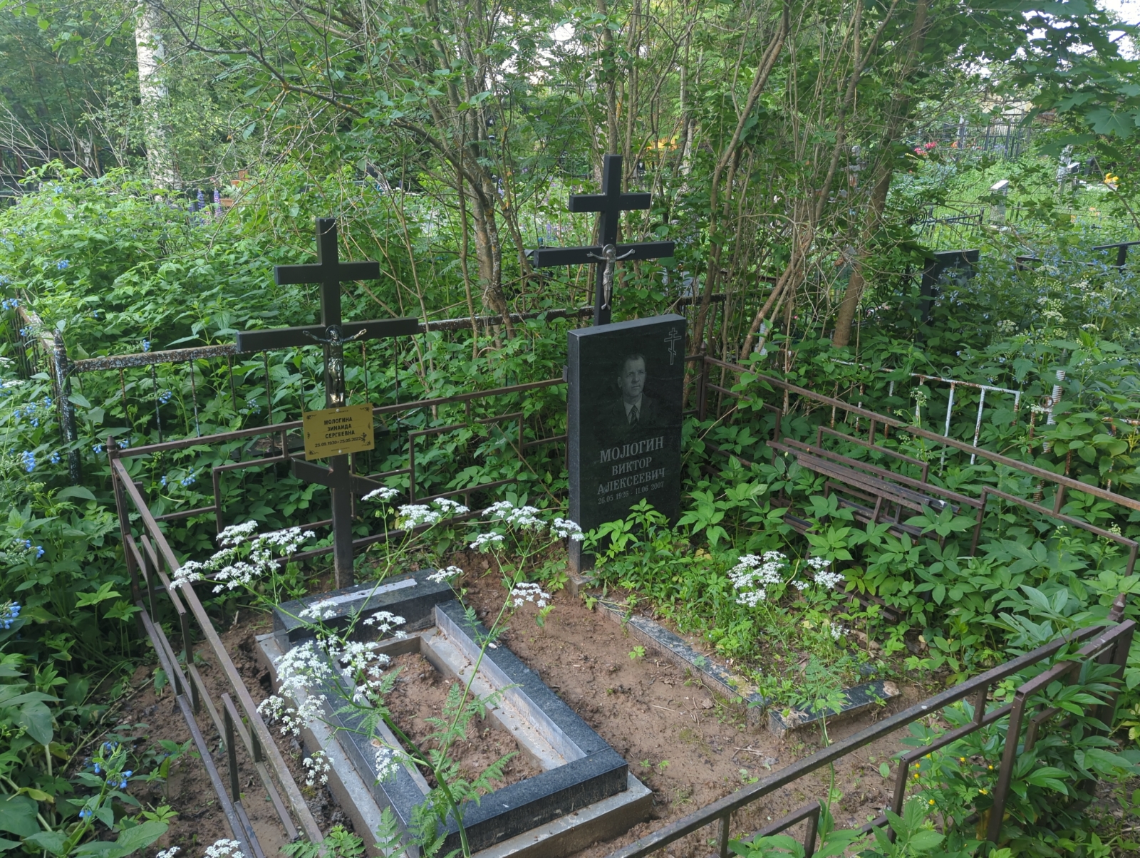 Мологин Виктор Алексеевич