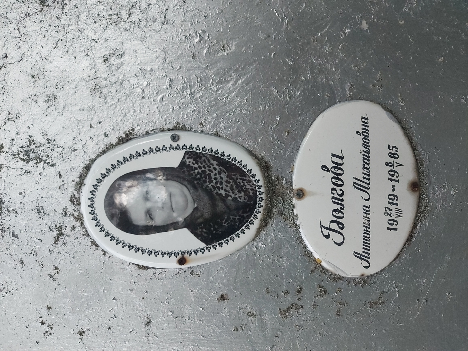 Болгова Антонина Михайловна