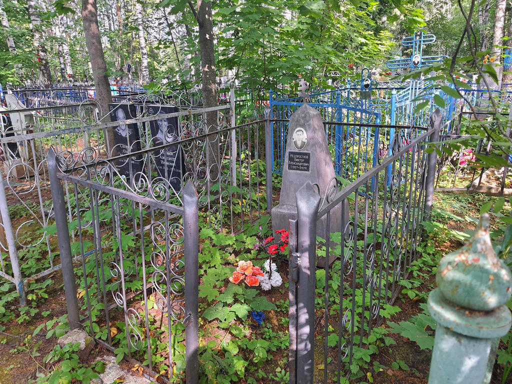 Недоростков Виктор Александрович