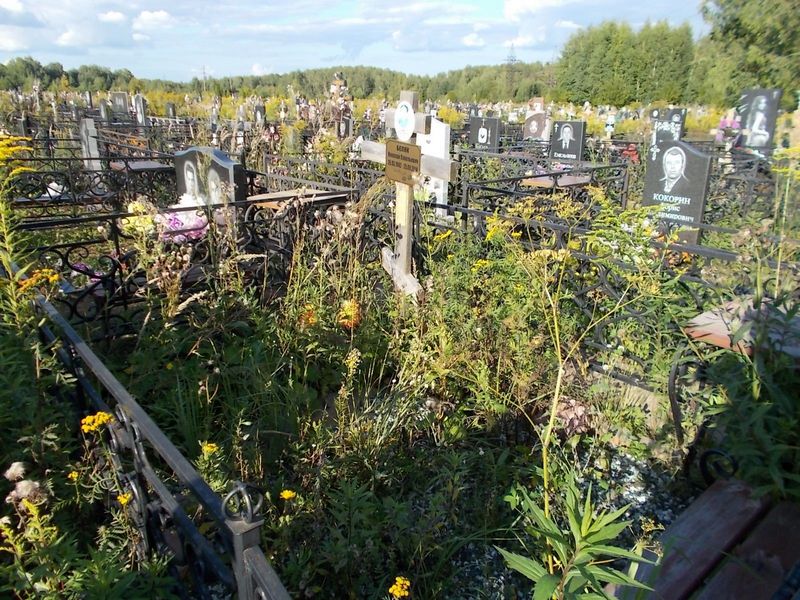 Беляк Николай Савельевич