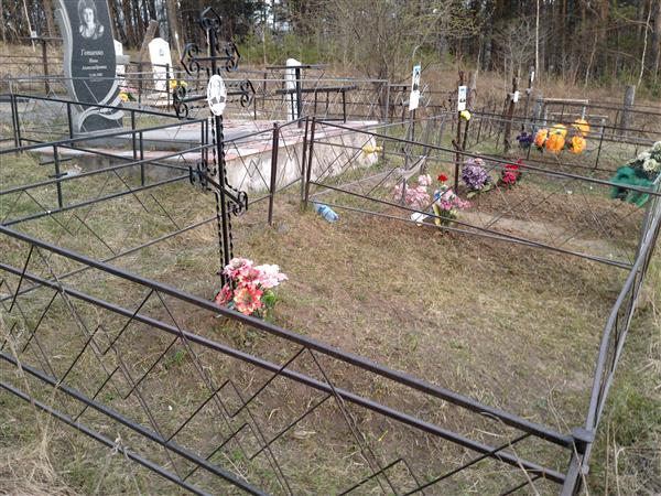 Лапузин Алексей Васильевич