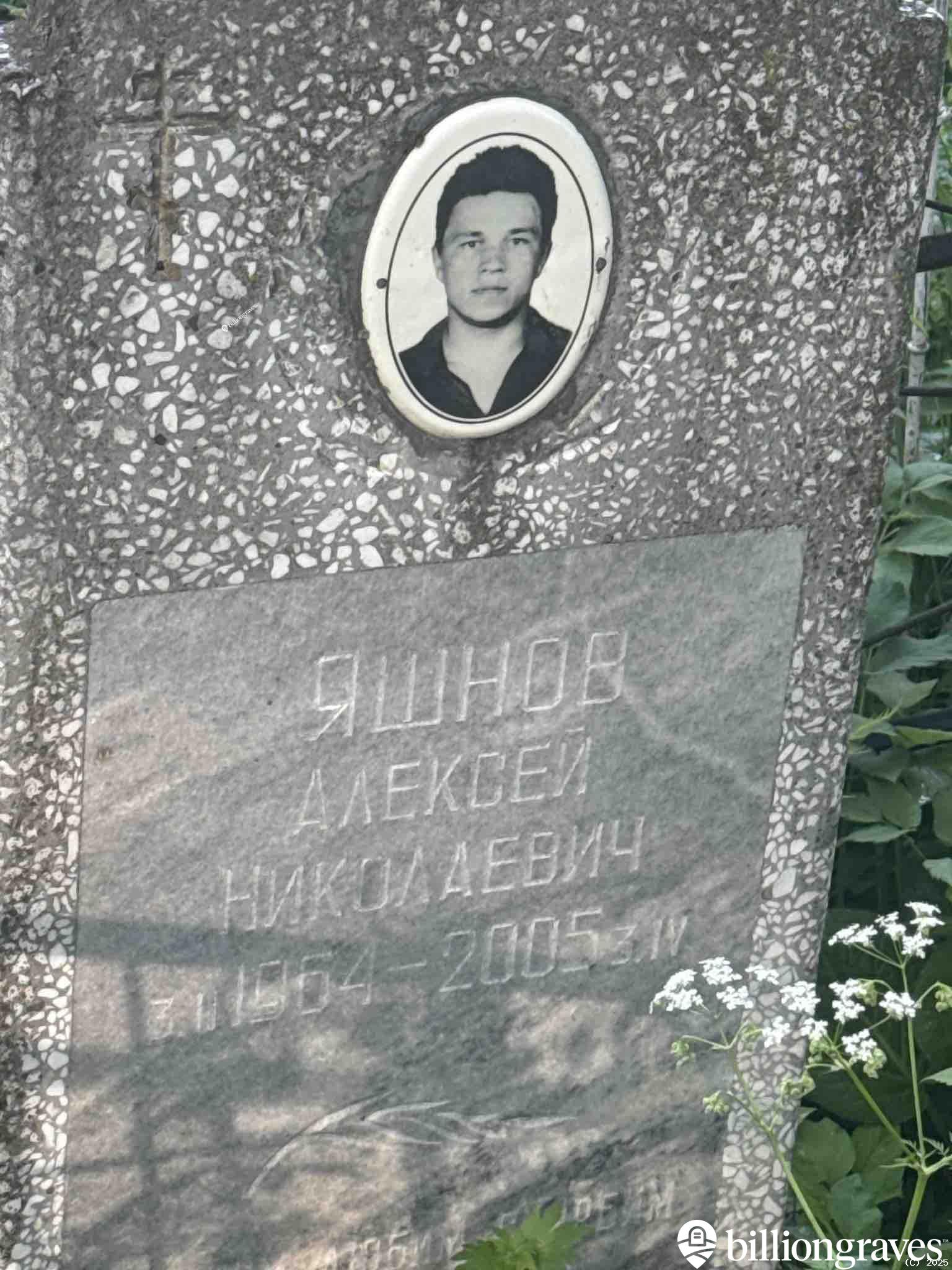 Яшнов Алексей Николаевич