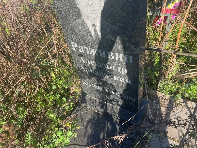 Разживин