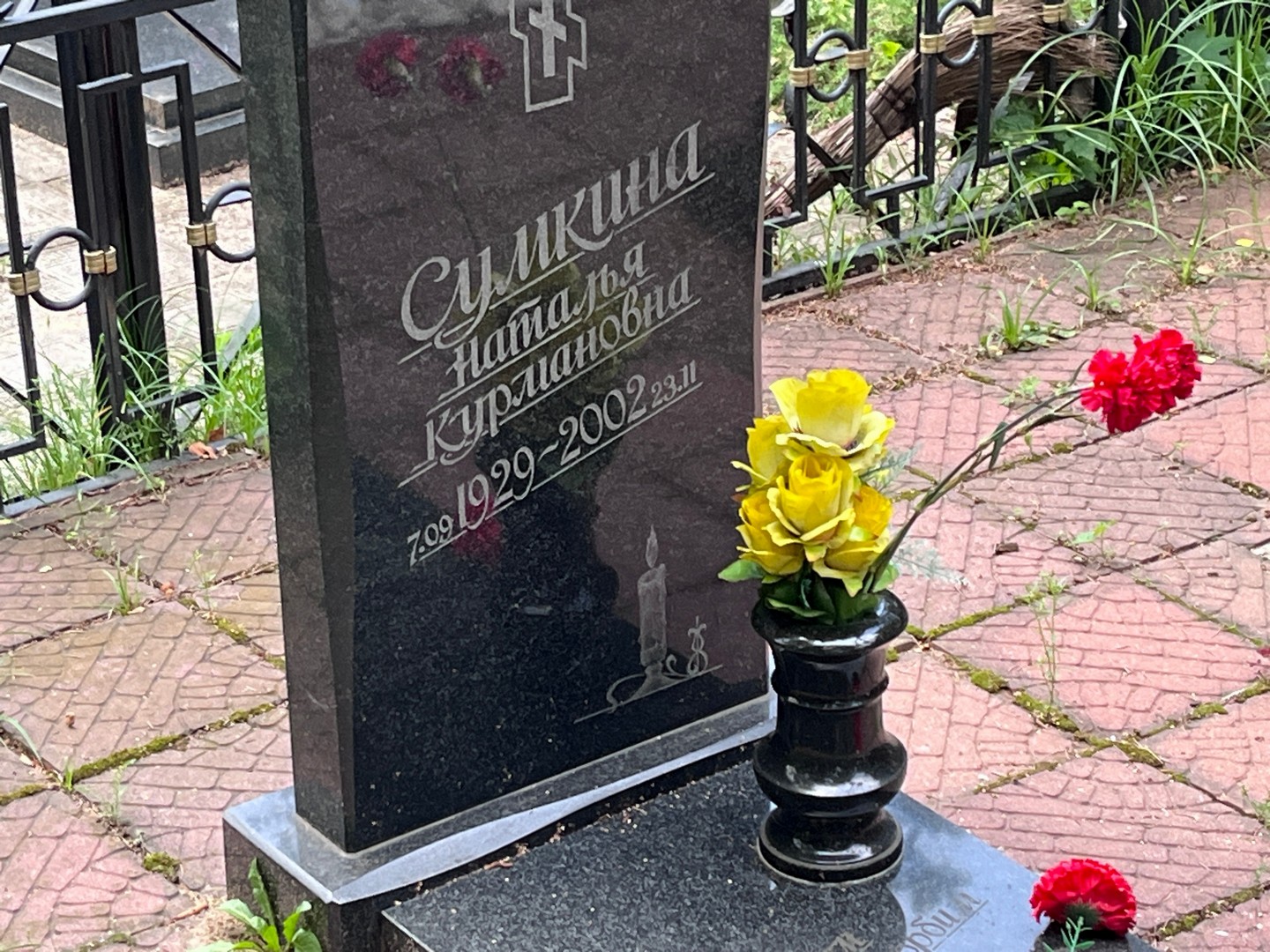 Сумкина