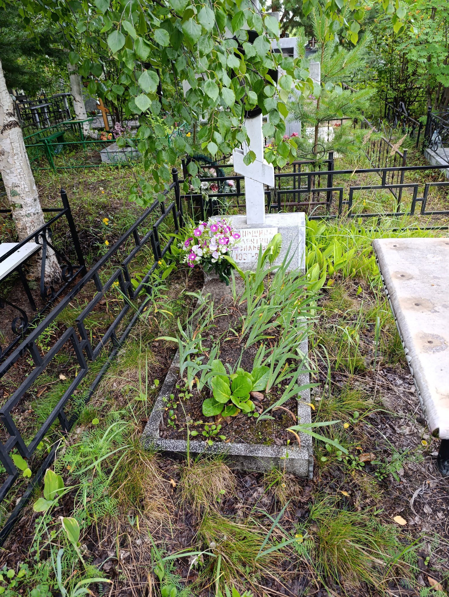 Паньшина Валентина Васильевна
