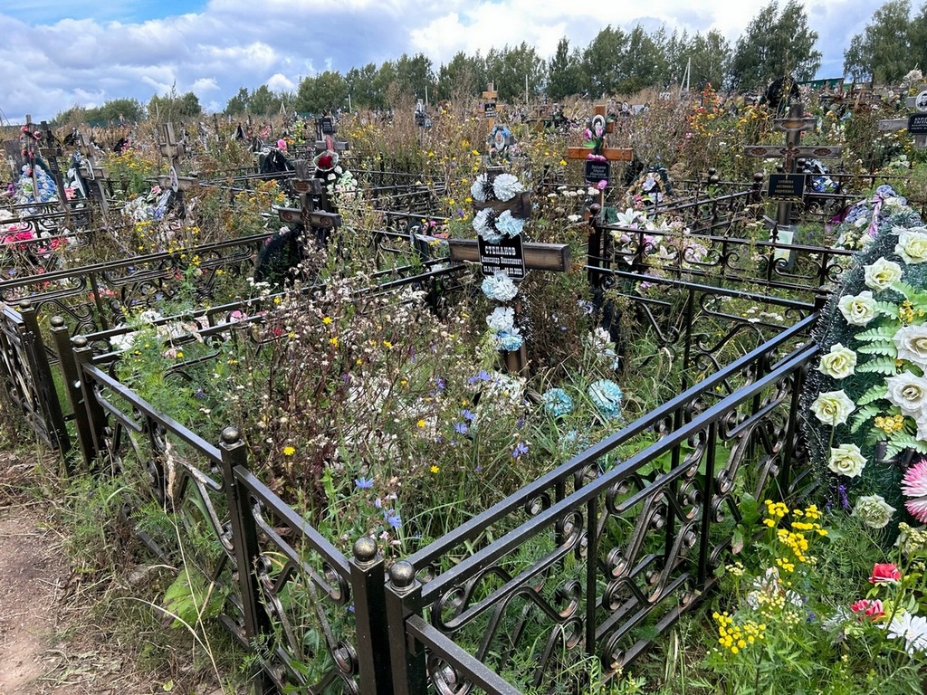 Степанов Александр Николаевич