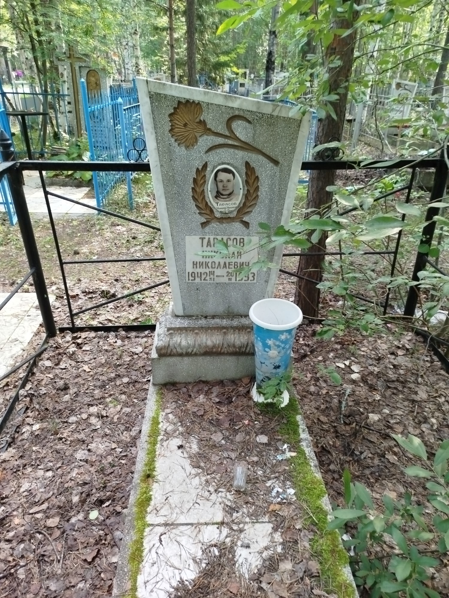 Тарасов Николай Николаевич