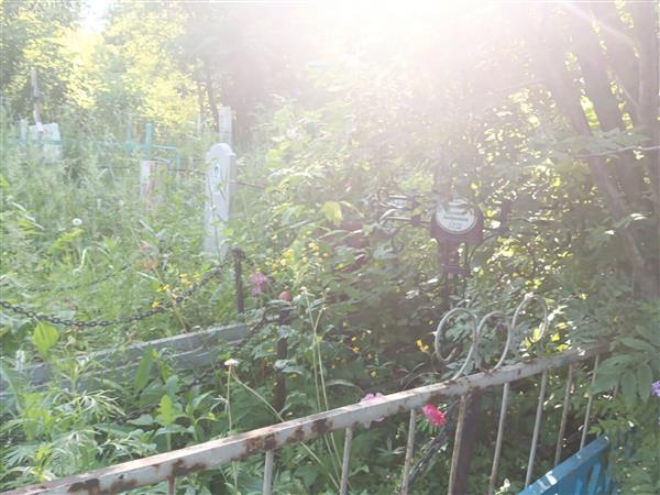 Коротина Полина Андреевна