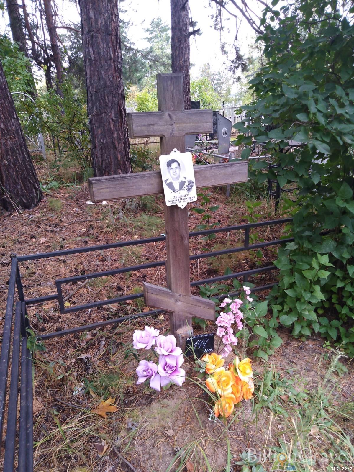 Ляшенко Александра Ивановна