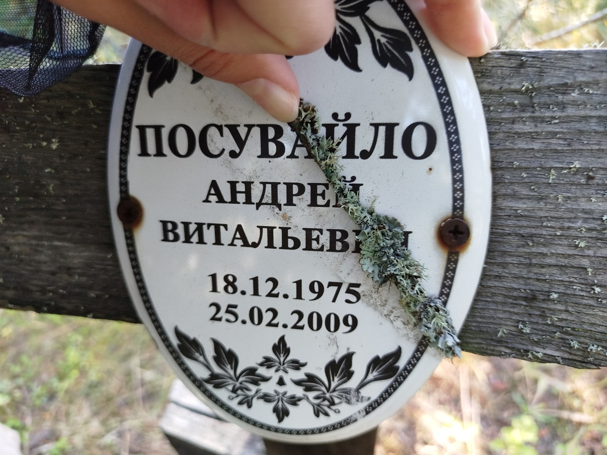 Посувайло Андрей Витальевич