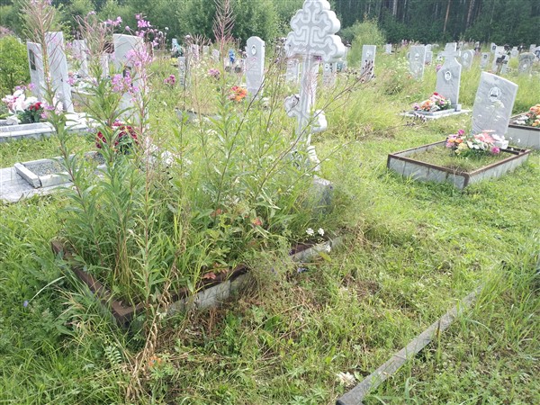 Александрова Анастасия Васильевна