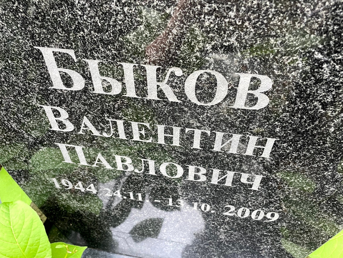 Быков