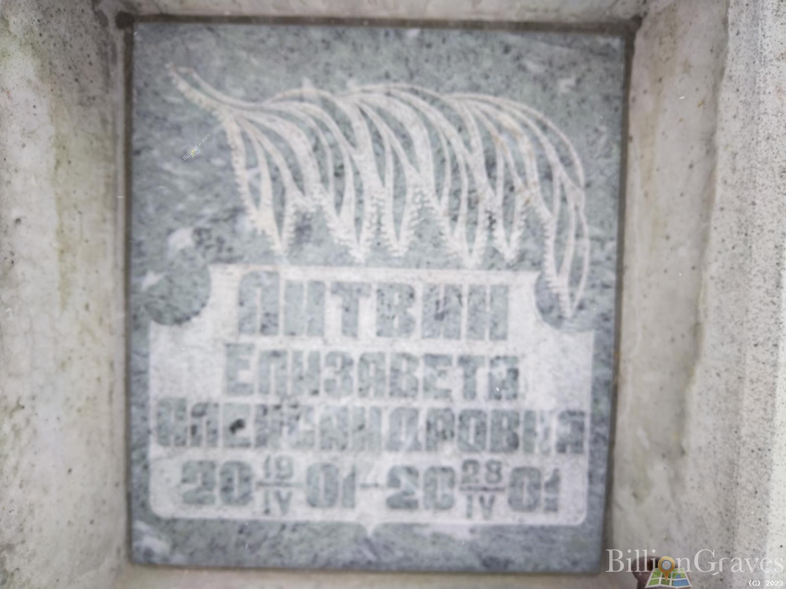 Литвин Елизавета Александровна