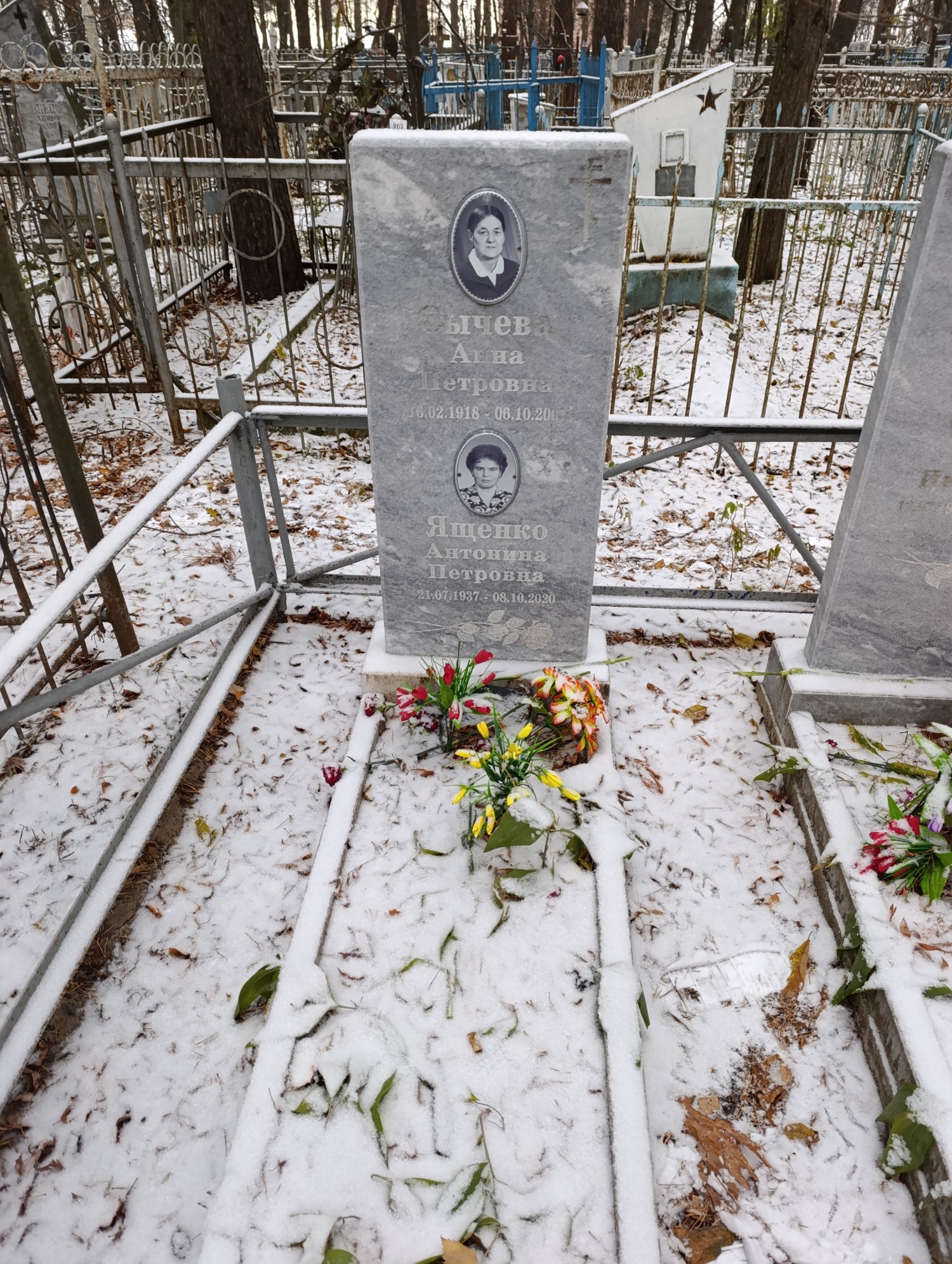 Сычева Анна Петровна