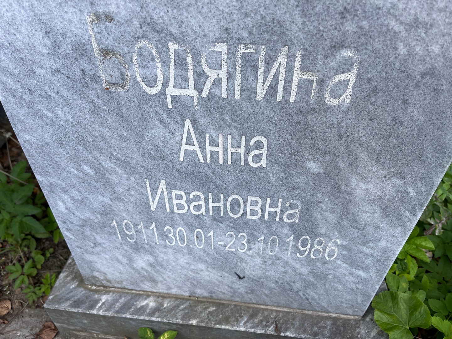 Бодягина