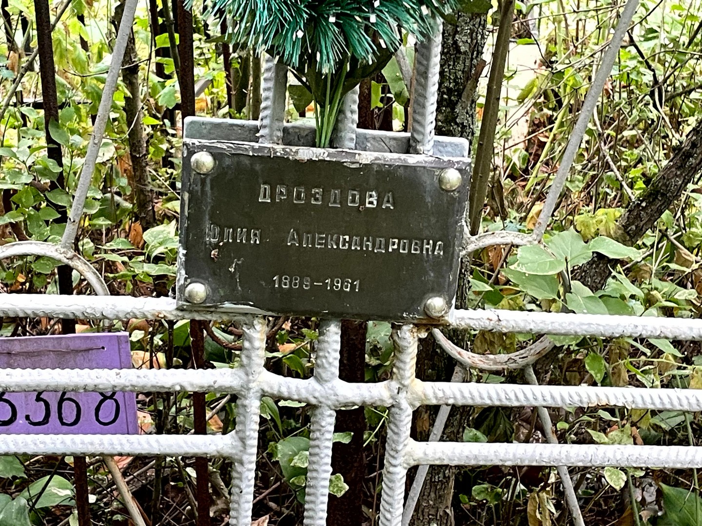 Дроздова