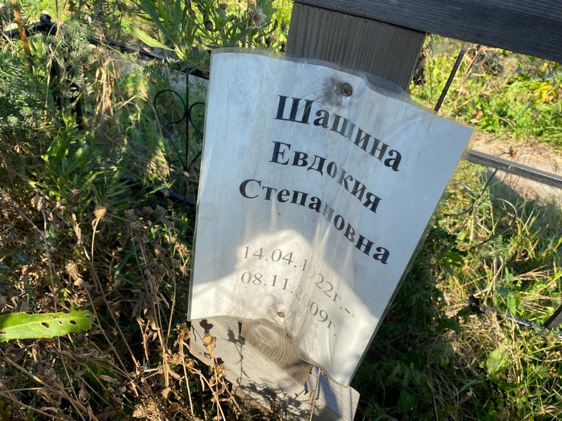 Шашина