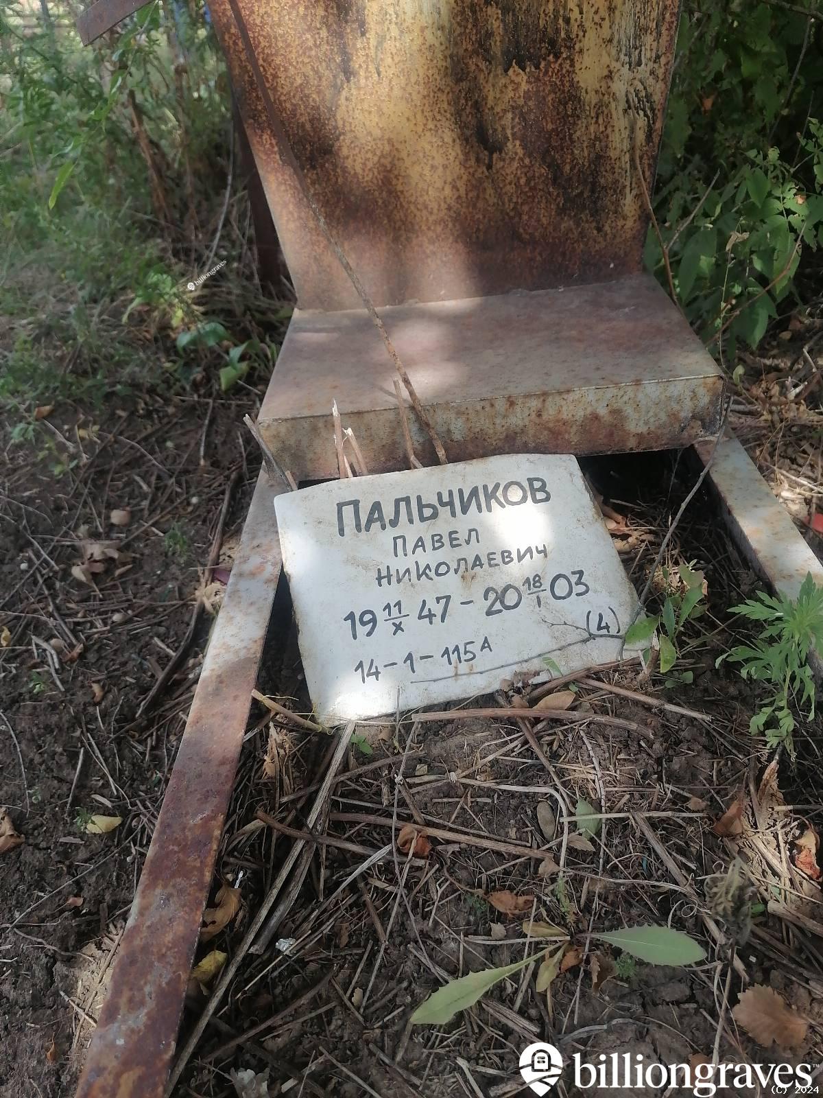 Пальчиков Павел Николаевич