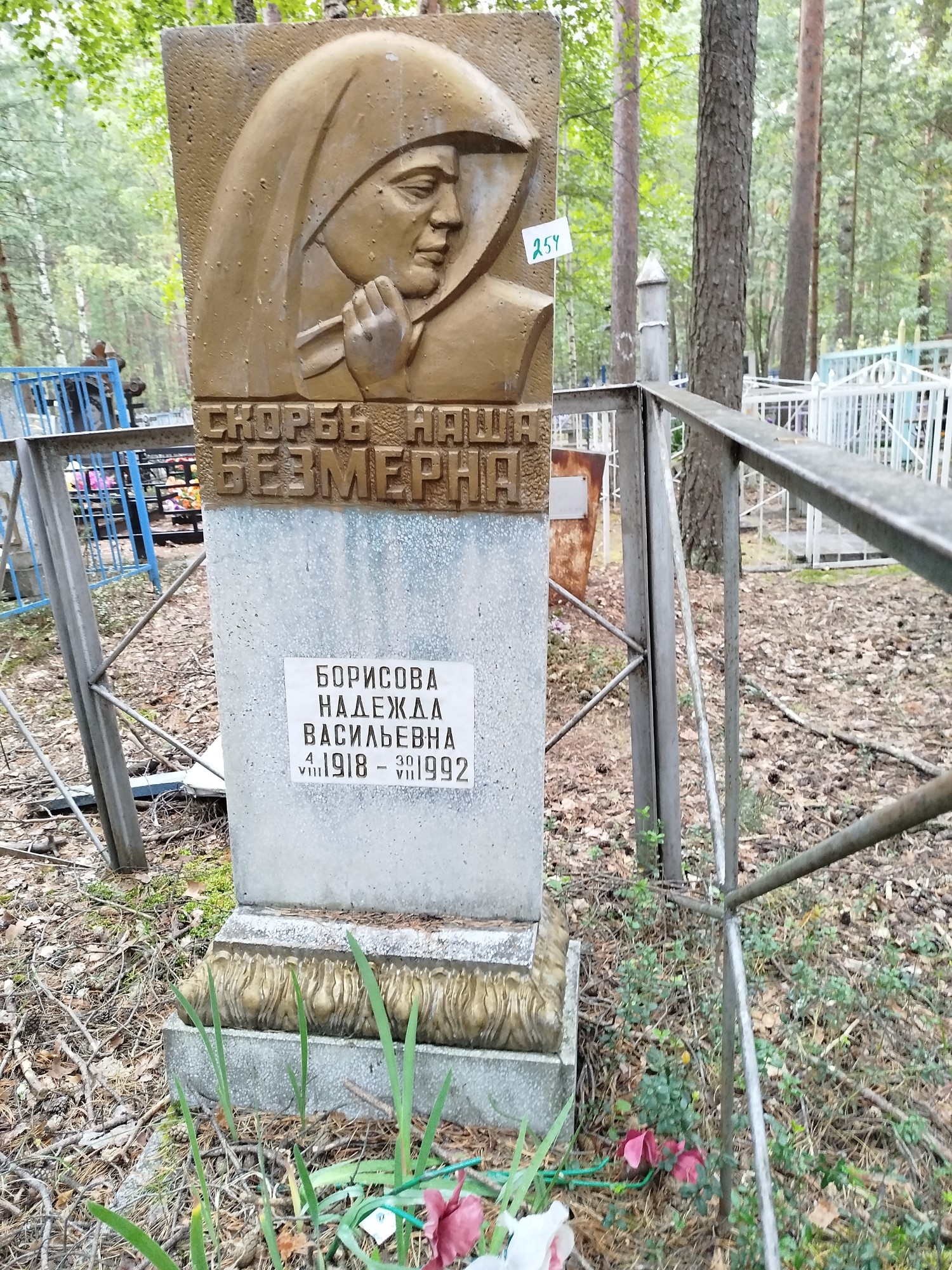 Борисова Надежда Васильевна